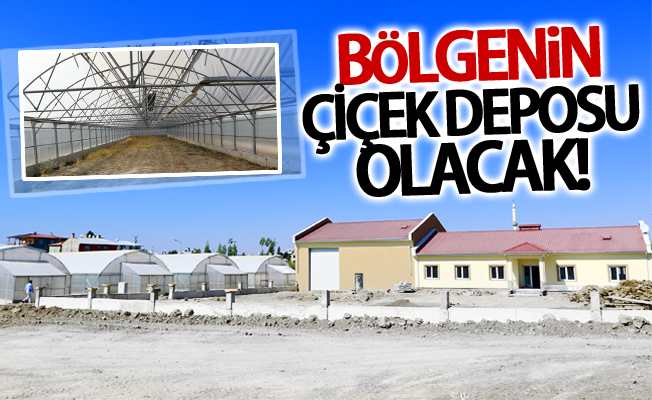 Van bölgenin çiçek deposu olacak