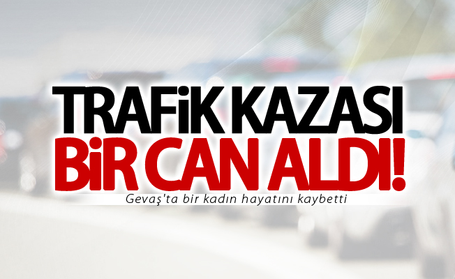 Van'da trafik kazası: 1 ölü