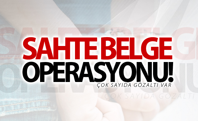 Van’da sahte belge düzenlediği gerekçesiyle 5 kişi gözaltına alındı