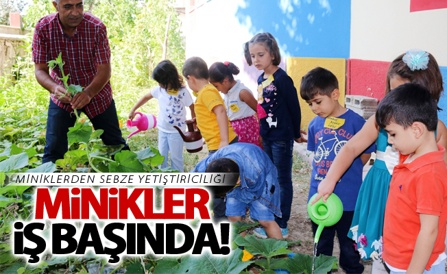 Miniklerden sebze yetiştiriciliği