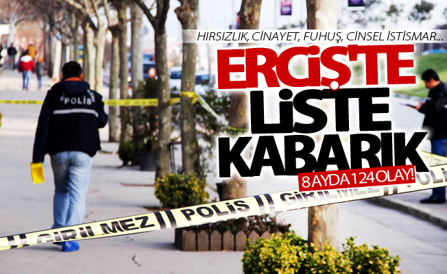 Erciş’te liste kabarık! Polis 8 ayda 124 olayı aydınlattı