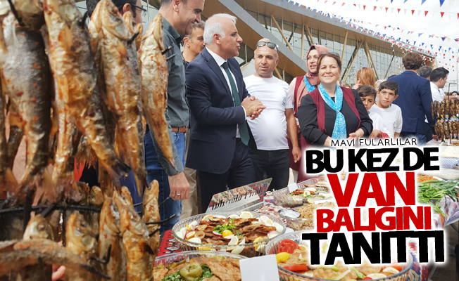 Mavi fularlılar Van balığını tanıttı