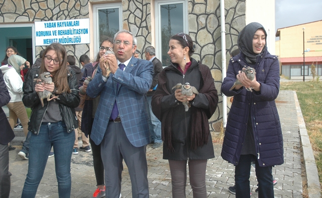 Van YYÜ’de keklikler özgürlüğe kanat çırptı