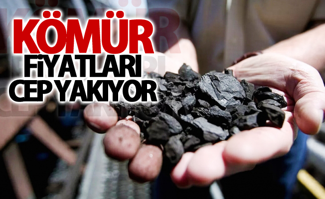 Kömür fiyatları cep yakıyor