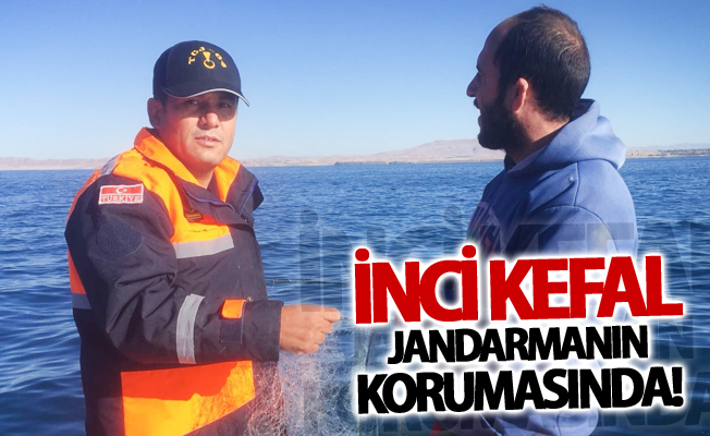 İnci kefal jandarmanın korumasında