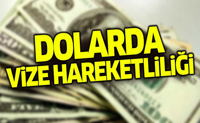 Dolarda vize hareketliliği