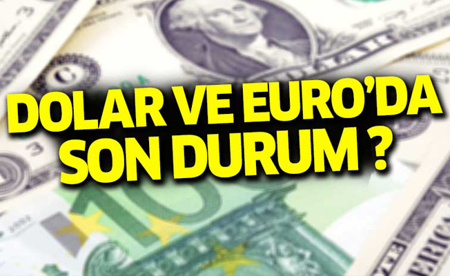 Dolar ve Euro'da son durum?