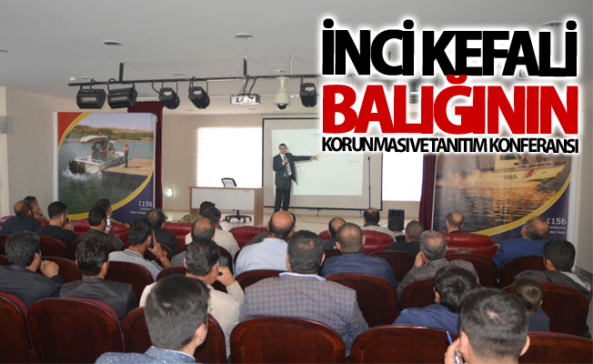 İnci Kefali balığının korunması ve tanıtım konferansı