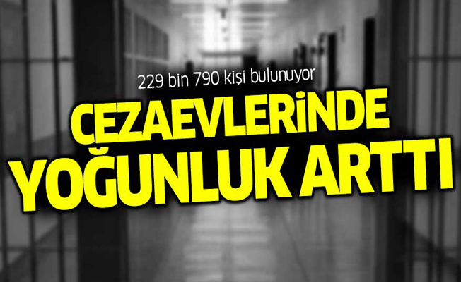 Cezaevlerinde toplam 229 bin 790 kişi bulunuyor