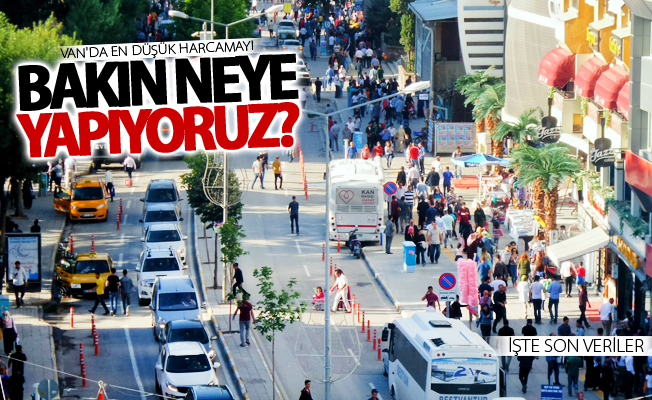 Van sizce en düşük harcamayı neye yapıyor! İşte son veriler