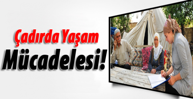 Çadırda yaşam mücadelesi!