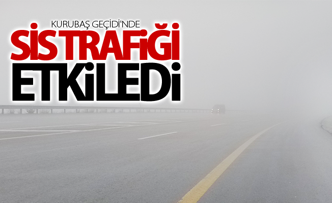 Van'da sis trafiği etkiledi