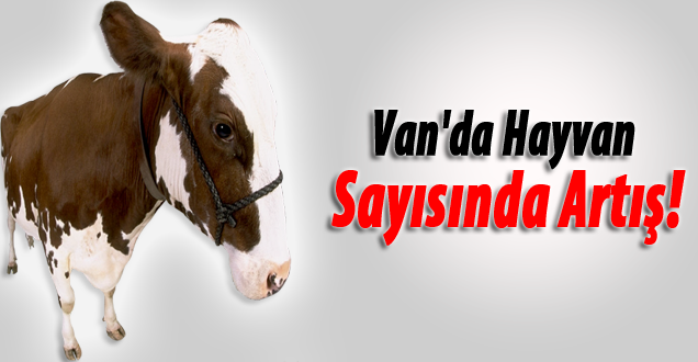 Van'da Hayvan Sayısında Artış!