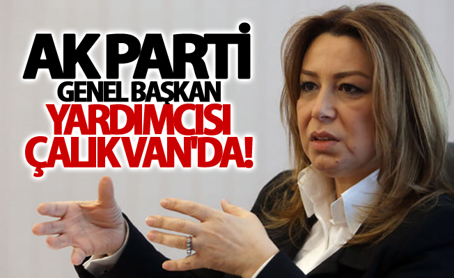 AK Parti Genel Başkan Yardımcısı Çalık Van'da