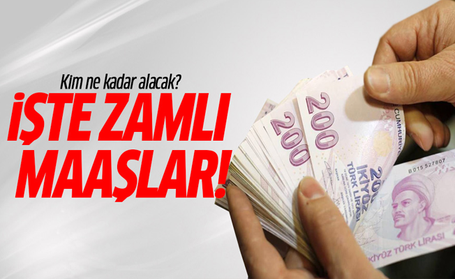 2018 Ocak emekli zam oranları! Emekli maaşları ne kadar olacak?