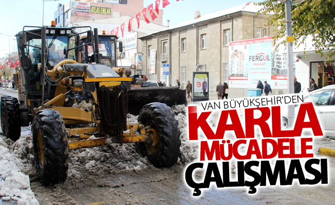 Van’da karla mücadele çalışması