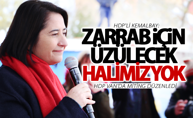 HDP'li Kemalbay Van'da konuştu: Zarrab için üzülecek halimiz yok