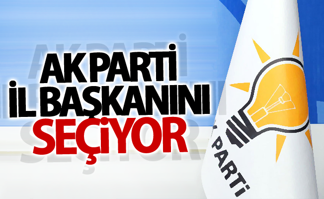 Van Ak Parti İl Başkanını seçiyor