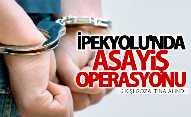 Van'da asayiş operasyonu: 6 gözaltı