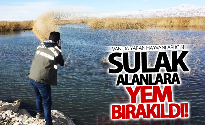 Van’da yaban hayvanları için sulak alanlara yem bırakıldı