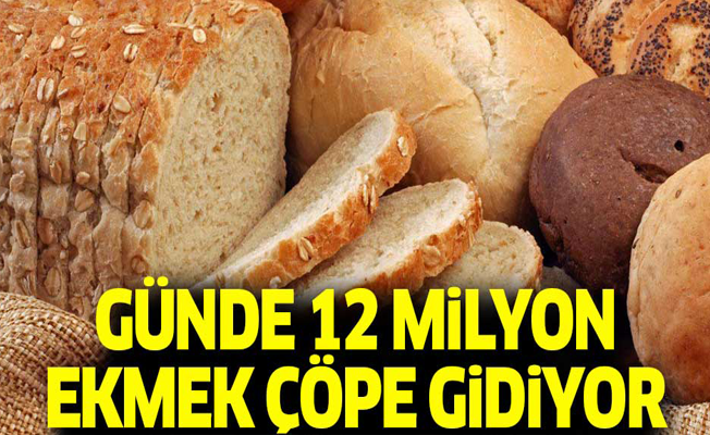 Günde 12 milyon ekmek çöpe gidiyor