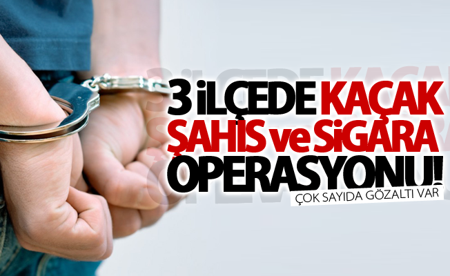 Van’da kaçak şahıs ve sigara operasyonu