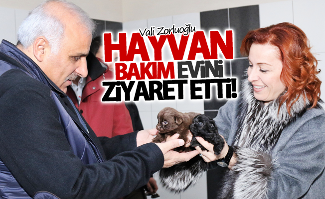 Vali Zorluoğlu, hayvan bakım evini ziyaret etti