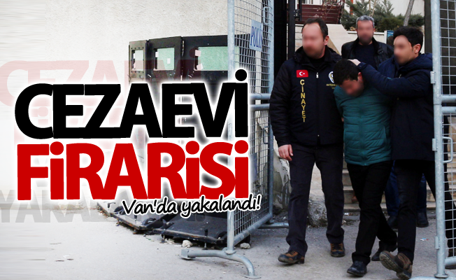 Cezaevi firarisi Van'da yakalandı