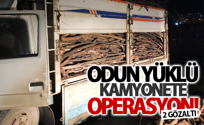 Odun yüklü kamyonete operasyon! 2 gözaltı