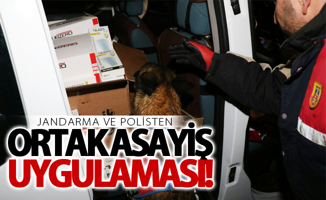 Jandarma ve polisten ortak asayiş uygulaması