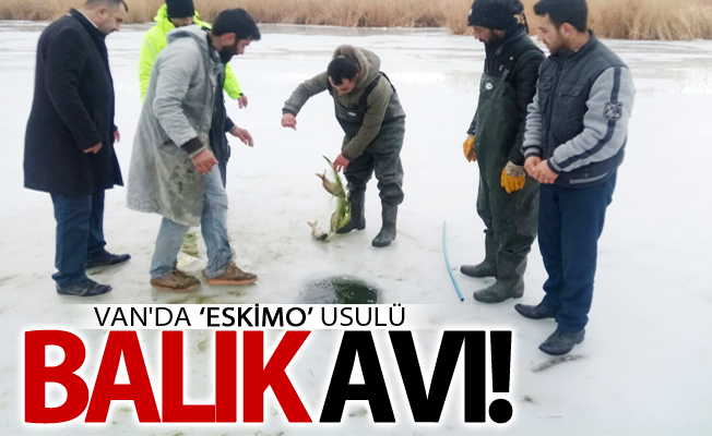 Van'da ‘Eskimo’ usulü balık avı