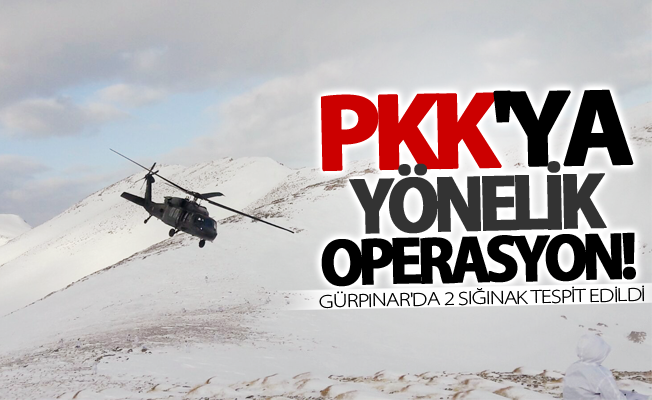 Gürpınar'da PKK'nın kış üslenme alanlarına operasyon