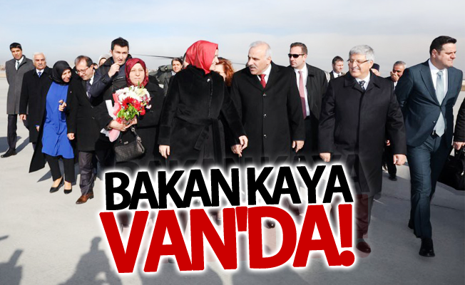 Bakan Kaya, Van’da