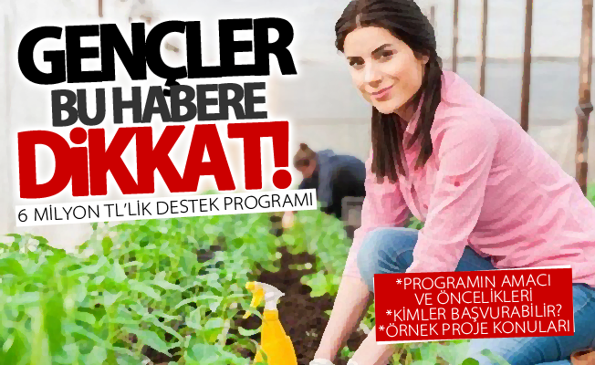 Gençler bu habere dikkat! 6 milyon TL’lik destek programı