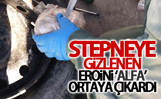 Stepneye gizlenen eroini ‘Alfa’ ortaya çıkardı