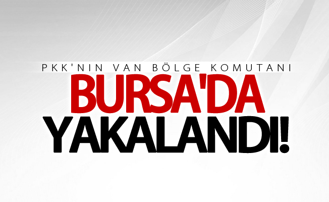 PKK'nın Van bölge komutanı Bursa'da yakalandı