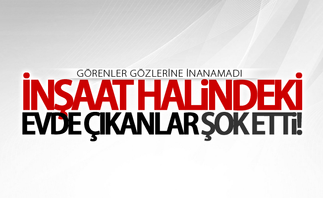 Van'da inşaat halindeki evde çıkanlar şok etti