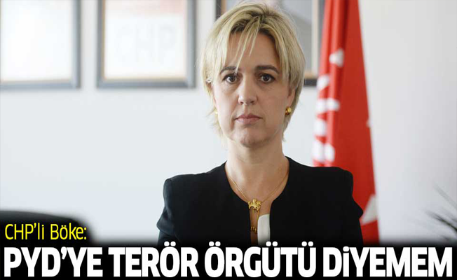 CHP'li Selin Sayek Böke: PYD'ye terör örgütü diyemem