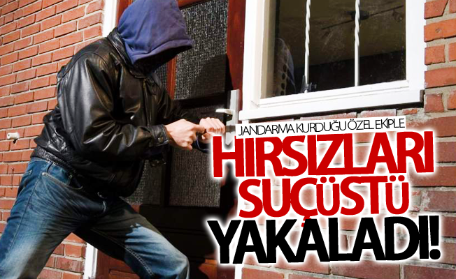 Jandarma kurduğu özel ekiple hırsızları suçüstü yakaladı