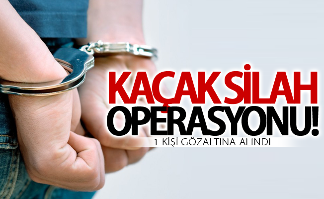 Van’da silah kaçakçılık operasyonu