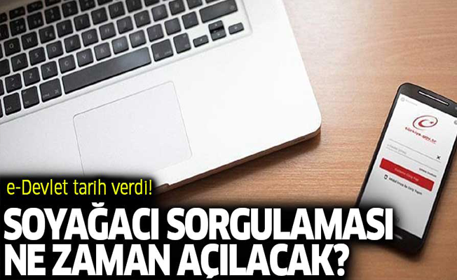 e-Devlet tarih verdi! Soyağacı sorgulaması ne zaman açılacak?