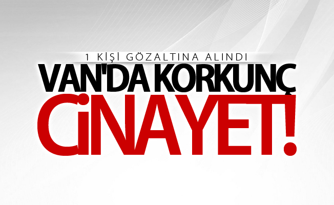 Van’da cinayet! 1 kişi gözaltına alındı