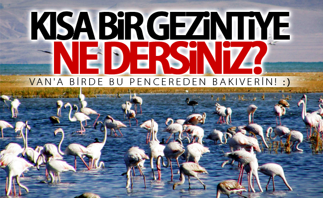 Kısa bir Van gezintisine ne dersiniz?