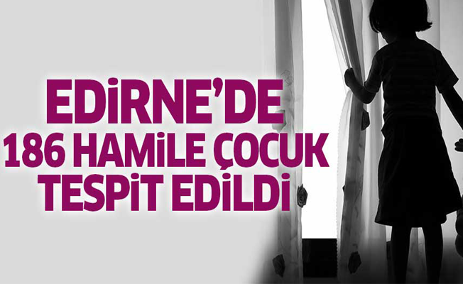 Edirne'de 186 hamile çocuk tespit edildi