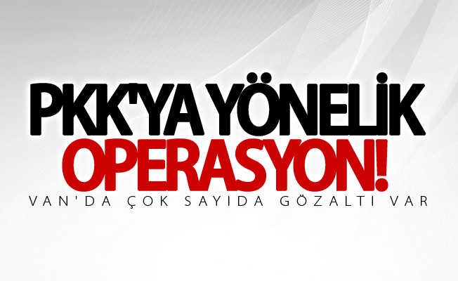 Van'da PKK'ya yönelik operasyon: 18 gözaltı