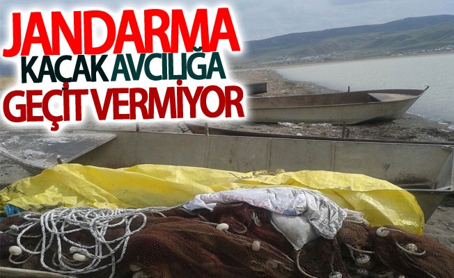 Jandarma kaçak avcılığa geçit vermiyor