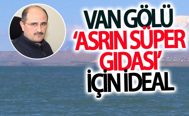 Van Gölü ‘Asrın süper gıdası’ için ideal