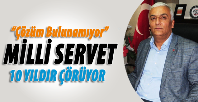 Milli servet 10 yıldır çürüyor