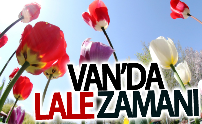 Van’da lale zamanı