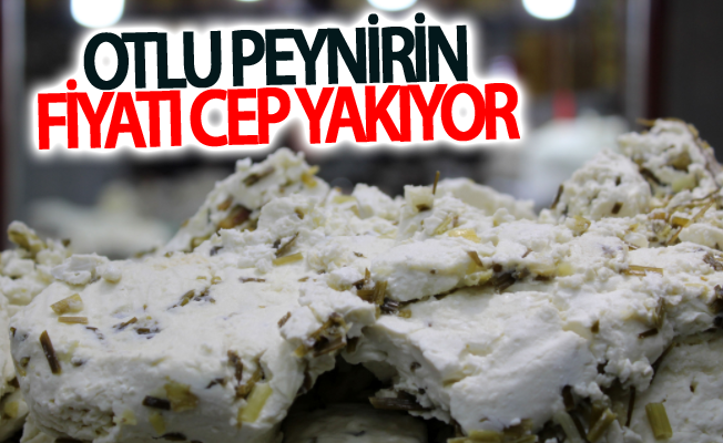 Otlu peynirin fiyatı cep yakıyor